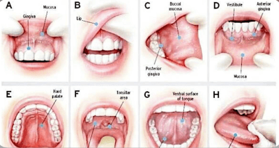 Oral Cancer Screening | The Emergency Dentist Phoenix
